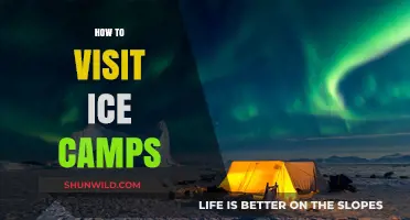 Exploring Arctic Ice Camps: Essential Tips for an Unforgettable Adventure