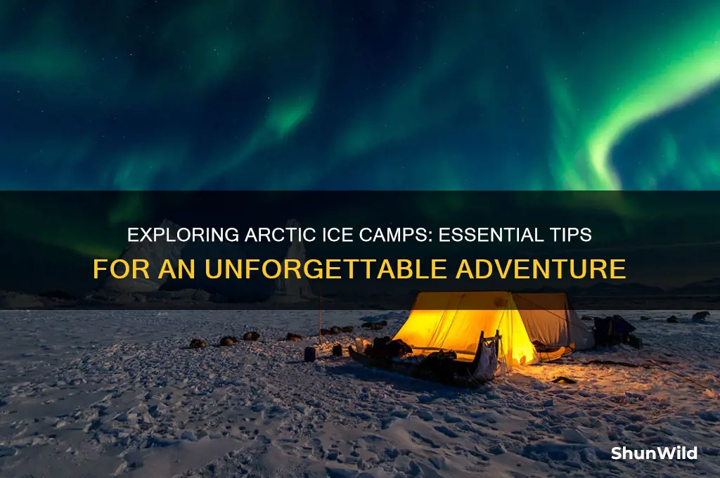how to visit ice camps