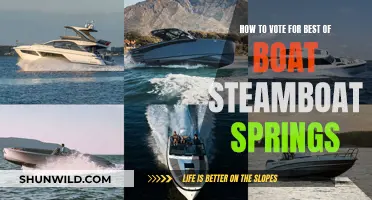 Best of Boat: Your Guide to Voting in Steamboat Springs