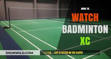 Strategies for Watching Badminton Like a Pro