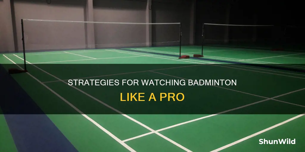 how to watch badminton xc