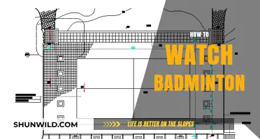 A Beginner's Guide to Badminton Viewing