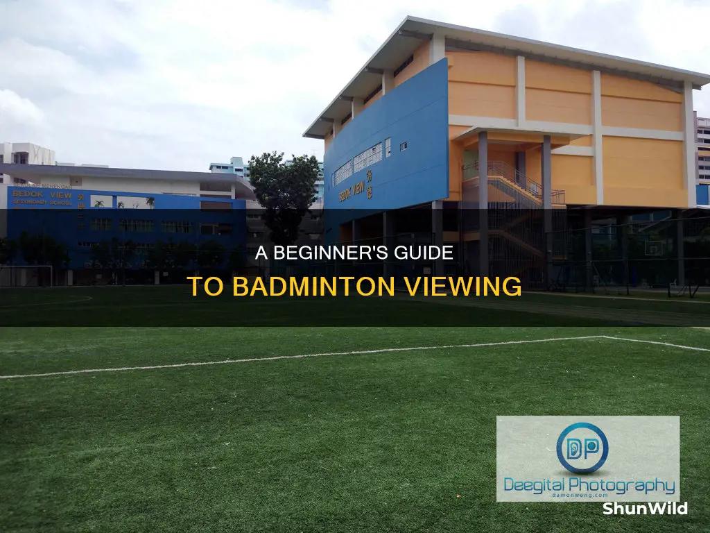 how to watch badminton