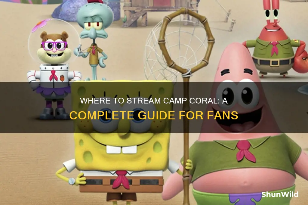 how to watch camp coral