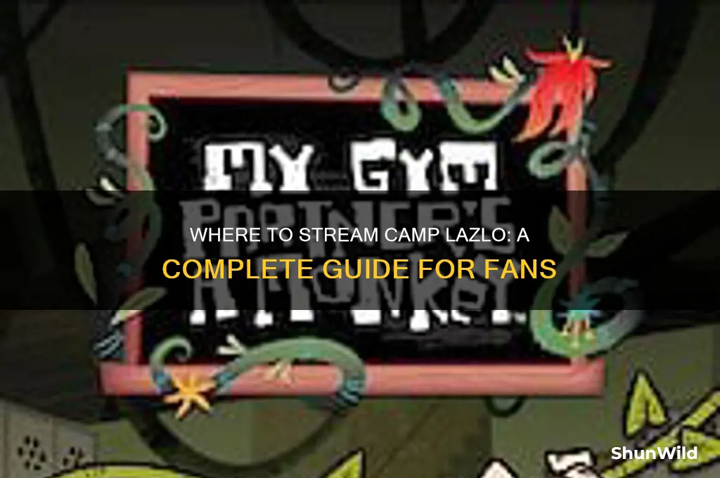 how to watch camp lazlo
