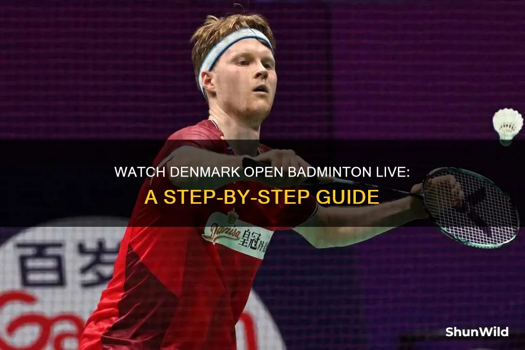 how to watch denmark open badminton live