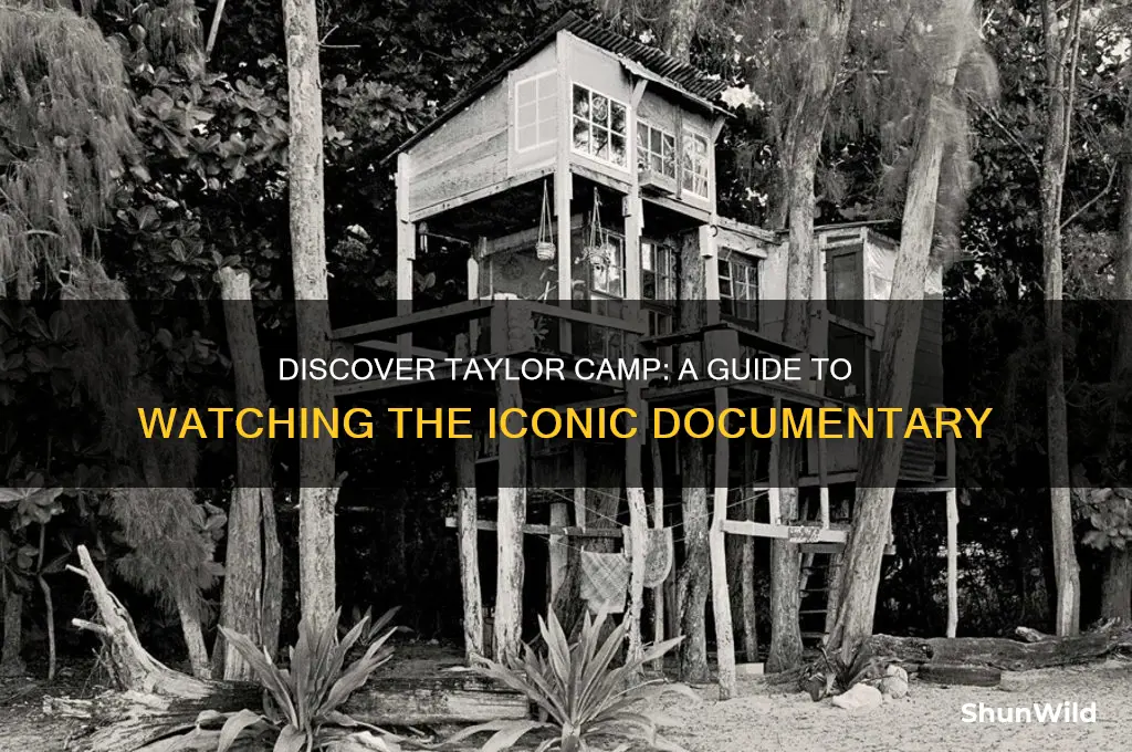 how to watch taylor camp