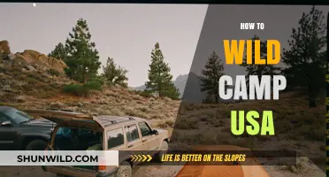Ultimate Guide to Wild Camping in the USA: Tips & Tricks