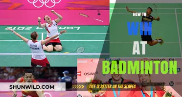Strategies to Dominate on the Badminton Court