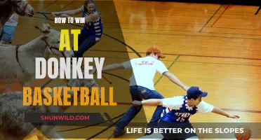 Donkey Basketball Domination: Strategies for Unstoppable Team Success