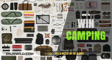 Master the Great Outdoors: Essential Tips to Win at Camping