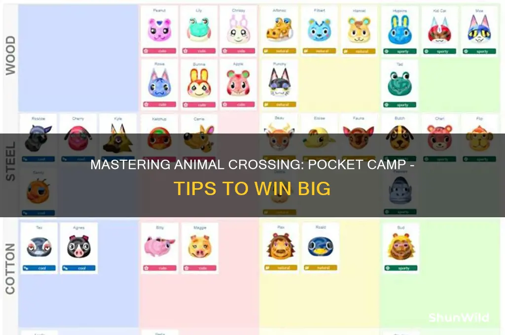 how to win pocket camp