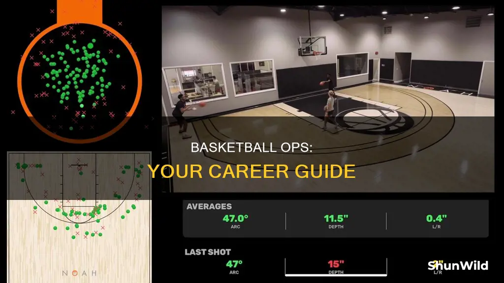 how to work in basketball operations