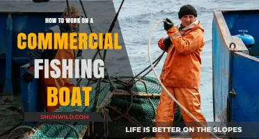 Dive into the Thrills: A Beginner's Guide to Life on a Commercial Fishing Boat