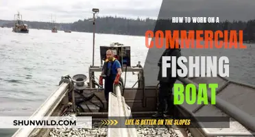 Commercial Fishing Boat: Working on the Water