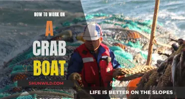 Working a Crab Boat: What You Need to Know