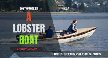 Working a Lobster Boat: A Beginner's Guide
