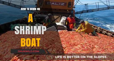 Mastering the Waves: A Beginner's Guide to Shrimp Boat Work