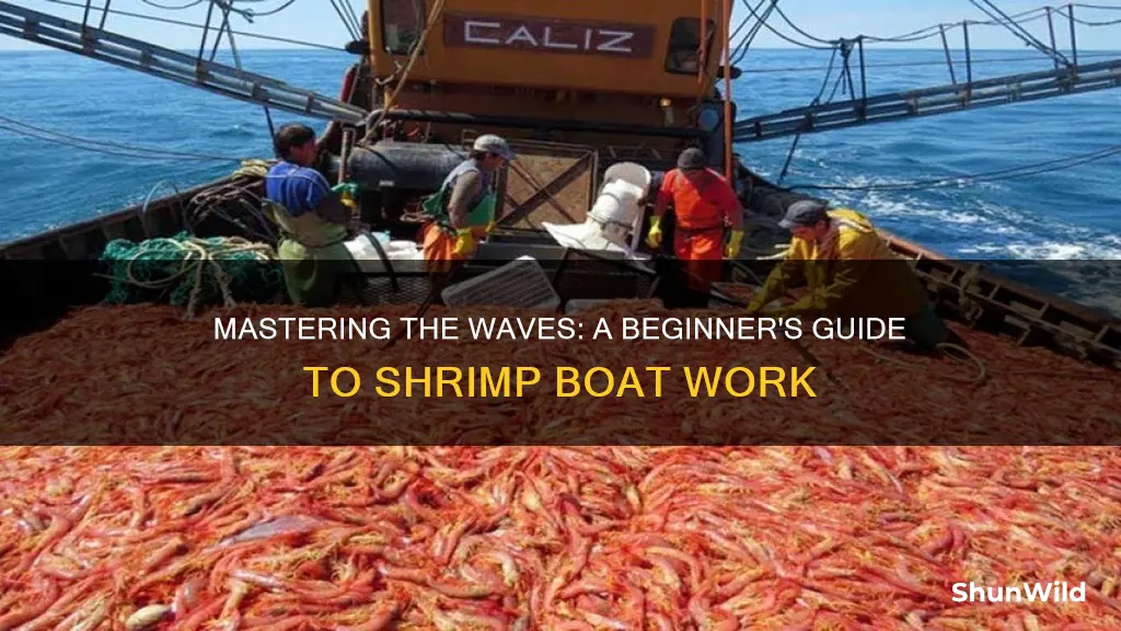 how to work on a shrimp boat