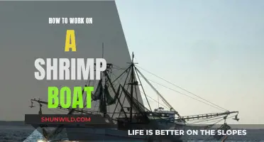 Working on a Shrimp Boat: A Beginner's Guide