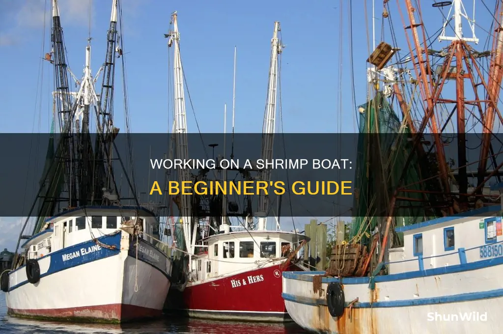 how to work on a shrimp boat