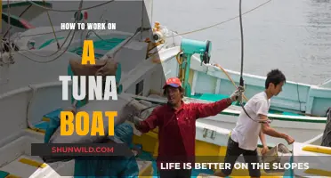 Tuna Fishing 101: A Beginner's Guide to Life on a Tuna Boat