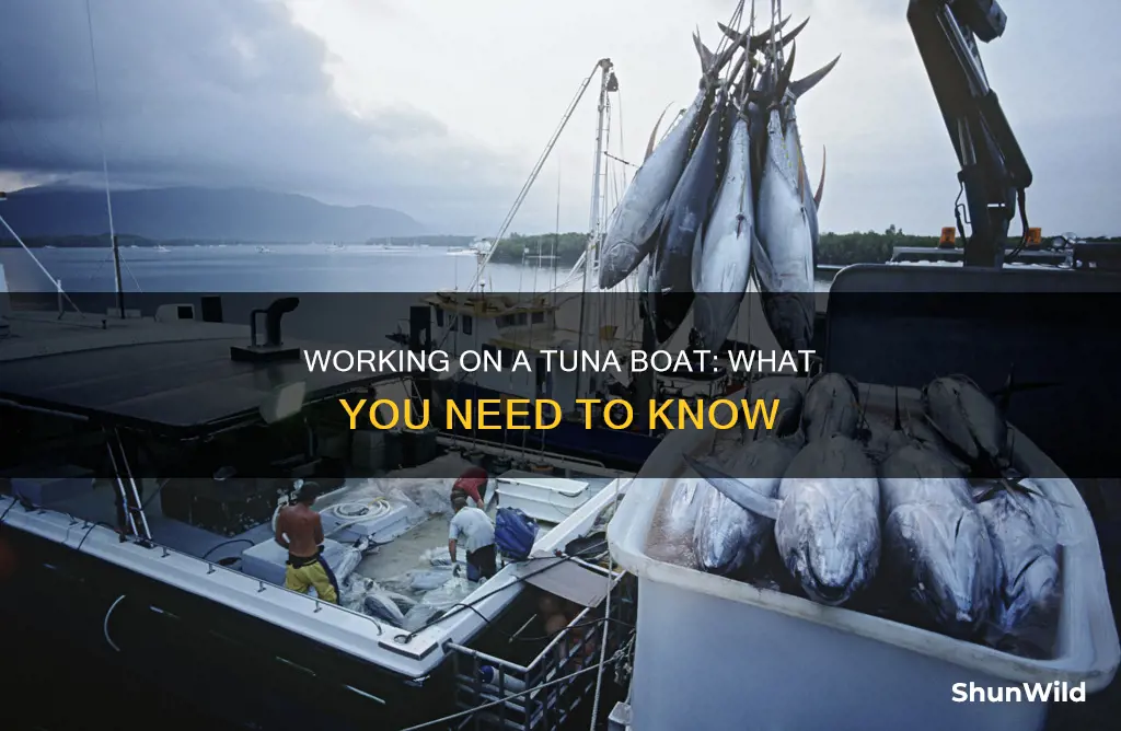 how to work on a tuna boat