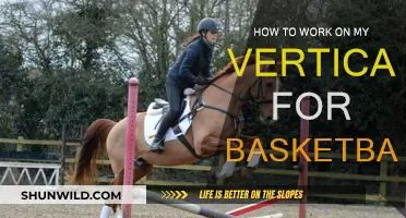 Explosive Vertical Leap Training for Basketball Players