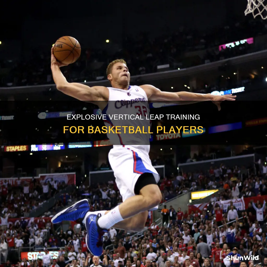 how to work on my vertical for basketball