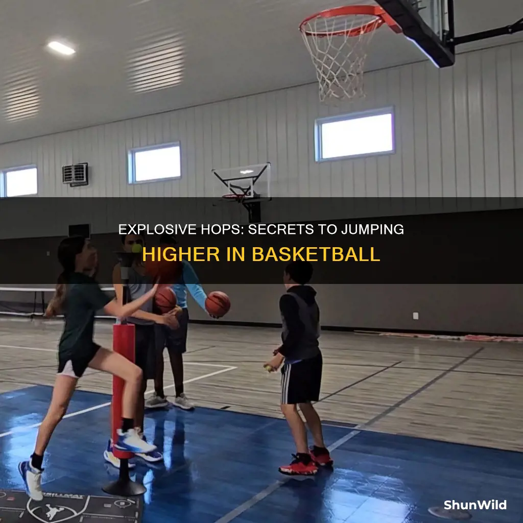 how to work on your hops for basketball