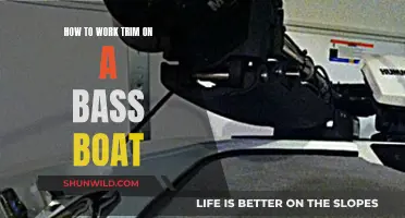 Bass Boat Maintenance: Trimming Basics for Beginners