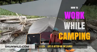 Camping and Productivity: Tips for Working Remotely in Nature