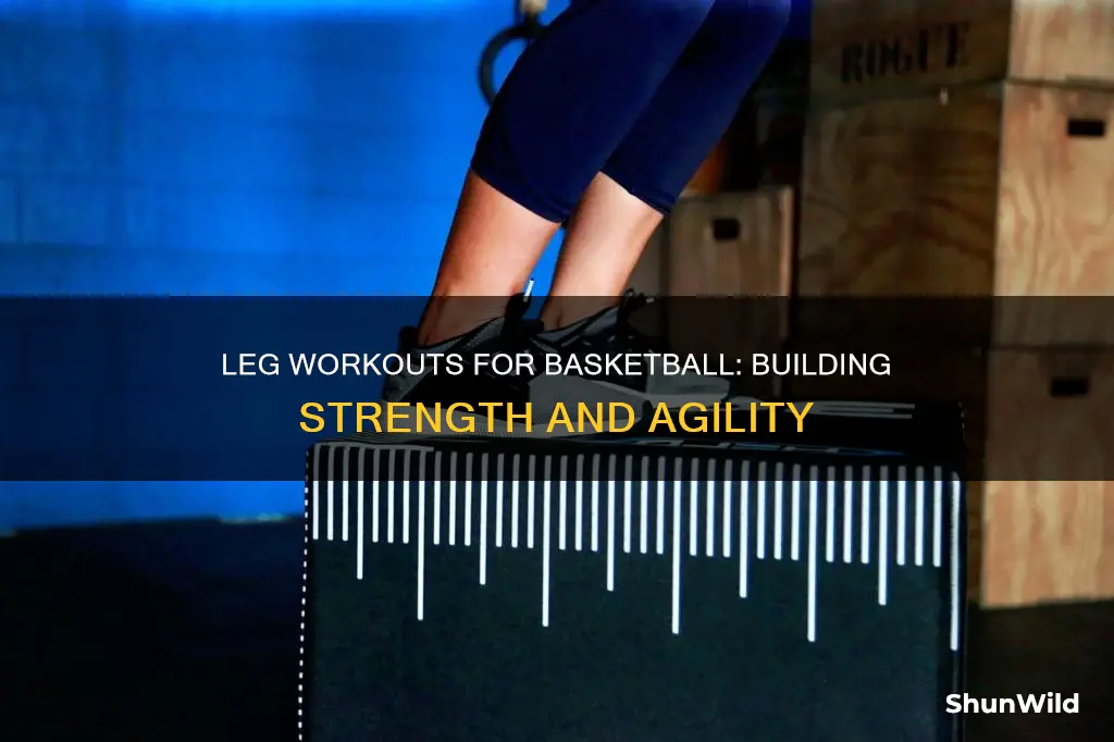 how to workout legs for basketball
