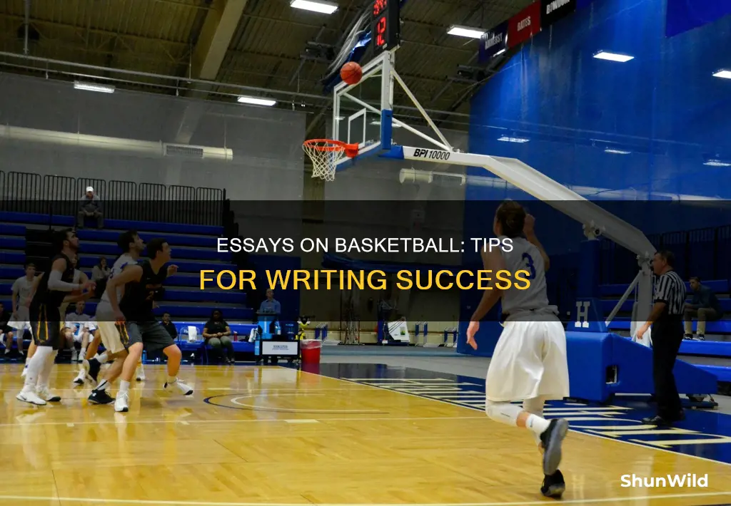 how to write an essay about basketball