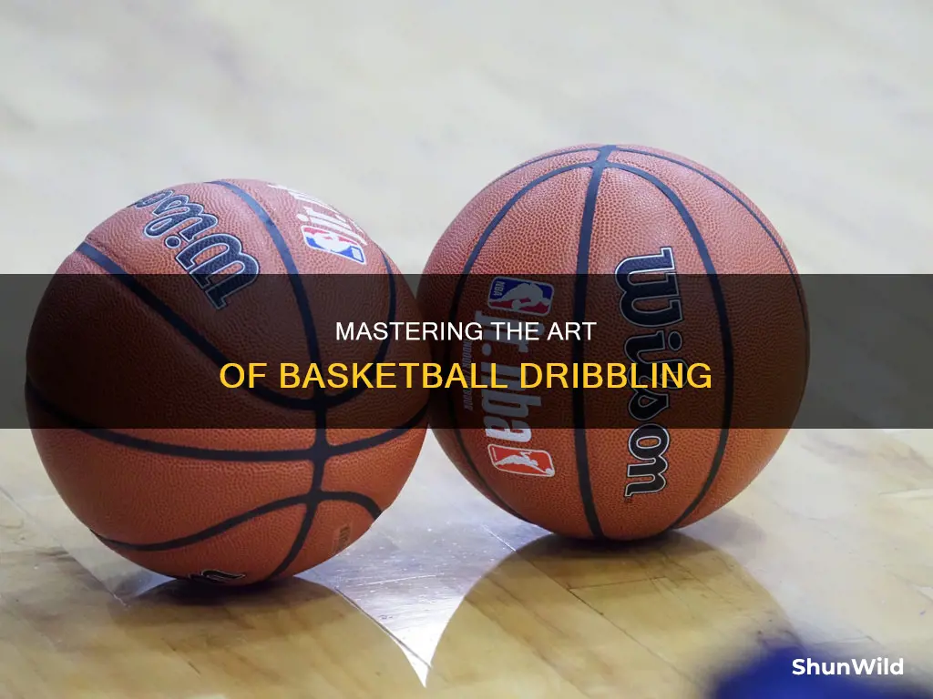 how todribble a basketball fundamentals