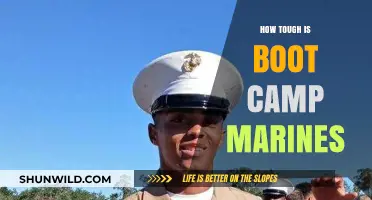 Marine Boot Camp: Unveiling the Brutal Reality of Becoming a Warrior