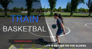 Training for Basketball: Tips and Tricks