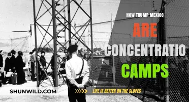 Trump's Mexico Border Policies: Are They Modern Concentration Camps?