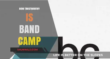 Is Bandcamp a Reliable Platform for Music Fans and Artists?