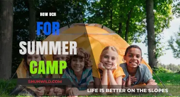 Summer Camp Costs: Budgeting for Your Child’s Adventure
