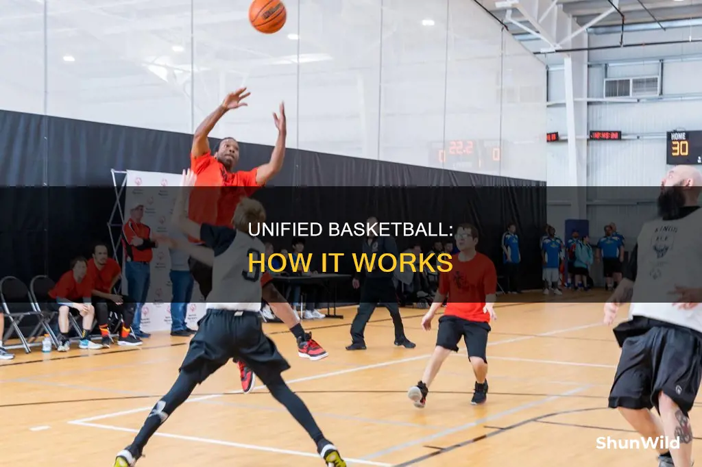 how unified basketball works