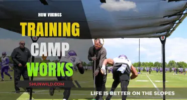 Inside the Vikings' Training Camp: Strategies, Drills, and Team Dynamics
