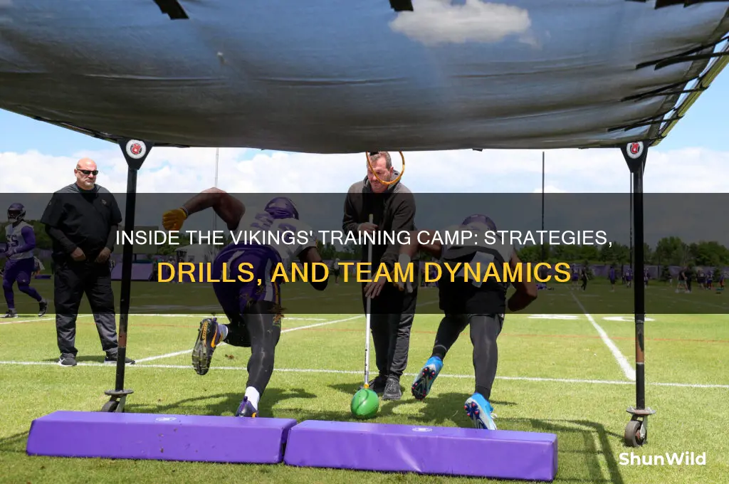 how vikings training camp works
