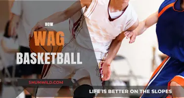 Wag Basketball: A Fun Guide to Playing with Your Dog