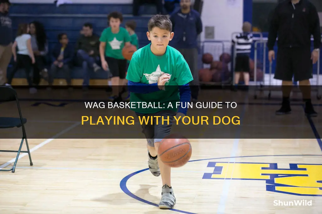 how wag basketball