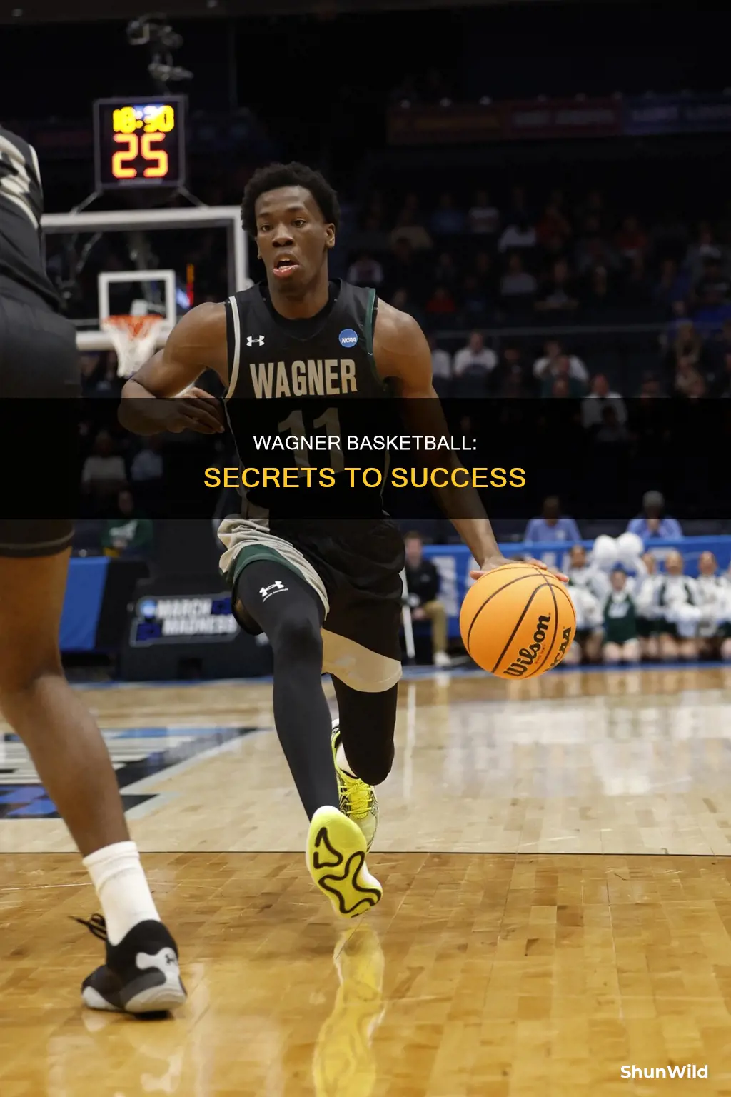 how wagner basketball