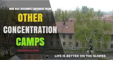 Auschwitz's Unique Horrors: How It Differed from Other Concentration Camps