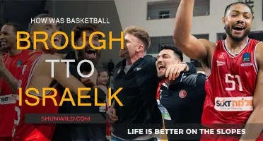 Basketball's Journey to Israel: A Historical Overview