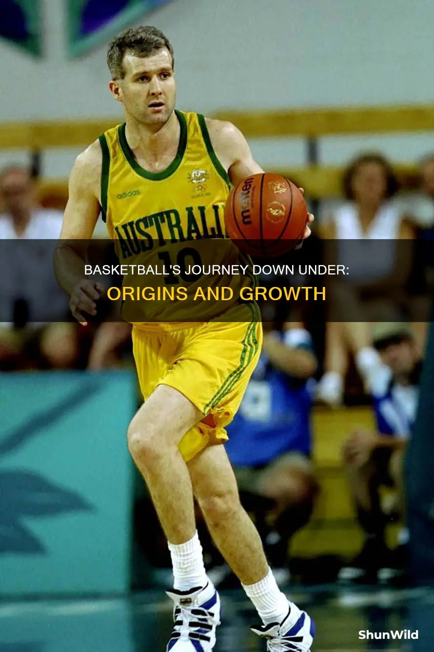 how was basketball introduced to australia