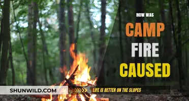 Unraveling the Devastating Origins of the Camp Fire Tragedy